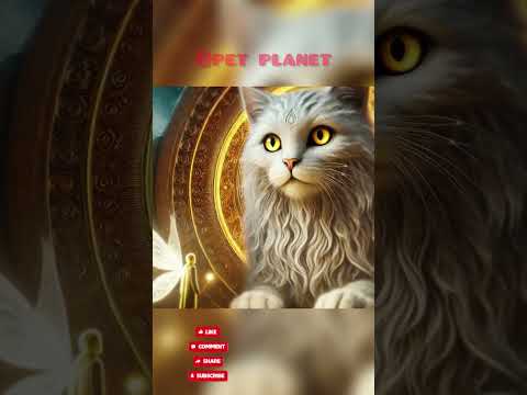 Luna S Moonlit Mission The Cat Who Saved The Moon Catlovers Cat Ai Shorts 