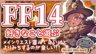 【🦐 FF14 / 紅蓮編🦀 】メインストーリー進めようぜ！！！ ( ˊ̱˂˃ˋ̱ )【 FINAL FANTASY XIV 】 Vtuber 初心者