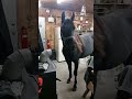 Random Horse Wanders Into Man's Garage