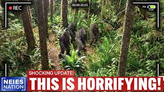 NEW Disturbing Bigfoot Footage Leaves Experts Stunned