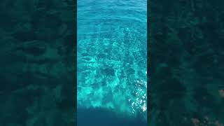 VOUTOUMI BEACH Antipaxos Island ?? #shorts - VOUTOUMI BEACH from Antipaxos