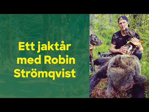 Video: På Jagt Efter Den Svenske Ledsager - Tunnbröd - Matador Network