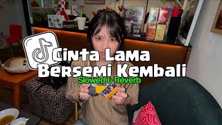 Dj Clbk Cintaku Padamu Bersemi Kembali  Slowed Reverb  Viral Tiktok 
