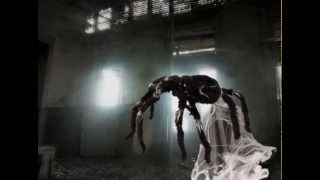 Jumping Spider - Spirit Halloween
