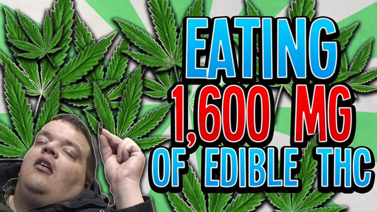 Eating 1600mg of Edibles
