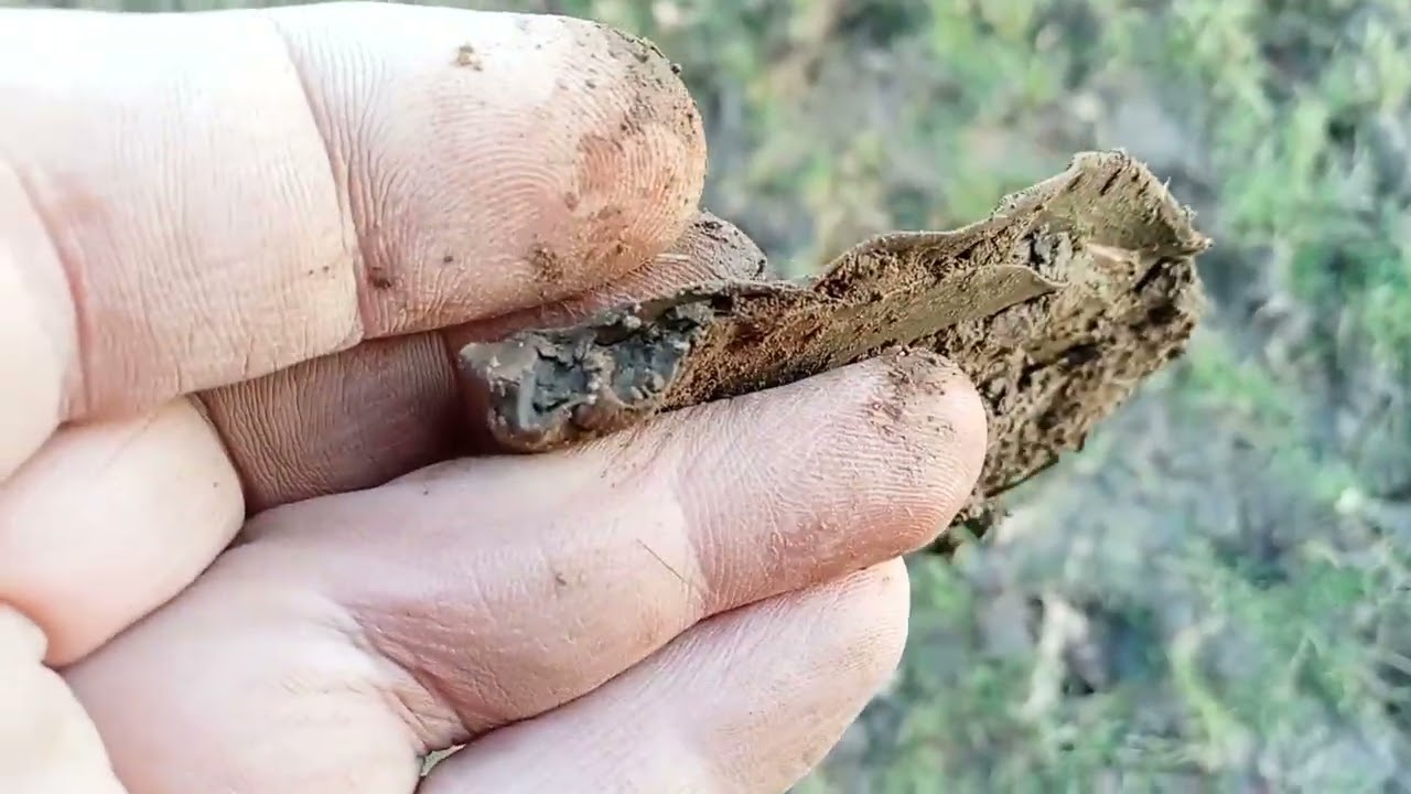 Epic find and a first bucket Lister for me on the Cromwell Farm 💥🤟🏻