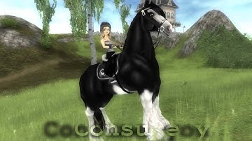 Star Stable MEP Disturbia part 5 for Elsa Nightnose TM