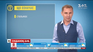 Хто такий стельмах – експрес-урок Хто такий стельмах – експрес-урок