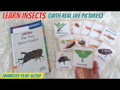 The Very Quiet Cricket by Eric Carle Read Aloud Book for Children