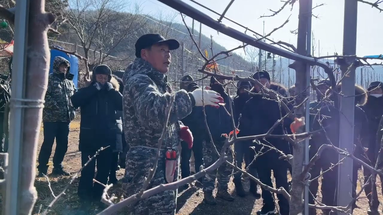 리팜 전정 교육 2025년 02월 03일