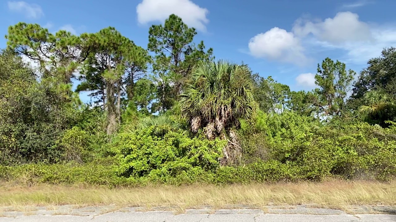 SOLD By CompassLandUSA-0.29 Acres With Paved Road & Power 250 Feet!In North Port, Sarasota County FL