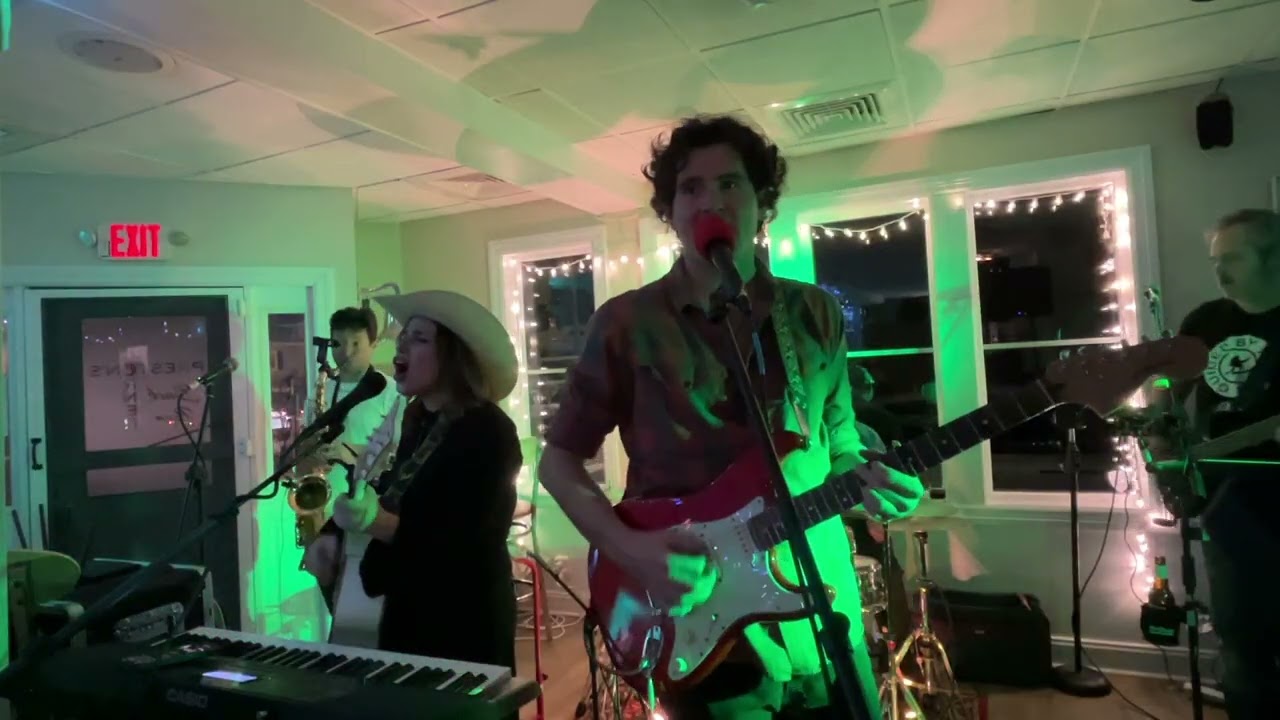 Black-Eyed Daisies - 