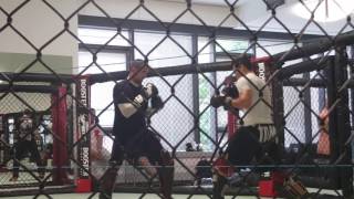 Adam The Kid Borics Mma Highlights