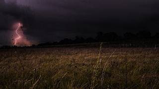 Dark Thunderstorm Over a Windy Field | Rain & Thunder | 3 Hours