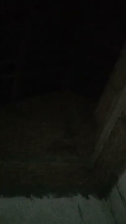 suasana malam aku teringat sama mantan istri saya kalau malam dia kasih aku senyuman manis