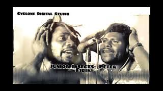 Junior Insects_Peter Pidik