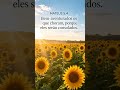 #DEUS PODEROSO #DEUS MISERICÓRDIOSO #DEUS PLENITUDE #DEUS #MUSIC FERNANDINHO