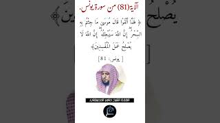 الآية (81)من سورة يونس//القارئ الشيخ ماهر المعيقلي.