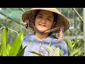 Cùng sưu tầm Cattleya đẹp cả nhà ơi zalo 0989214119#Hoalannhuy #Cattleya #Hoalan