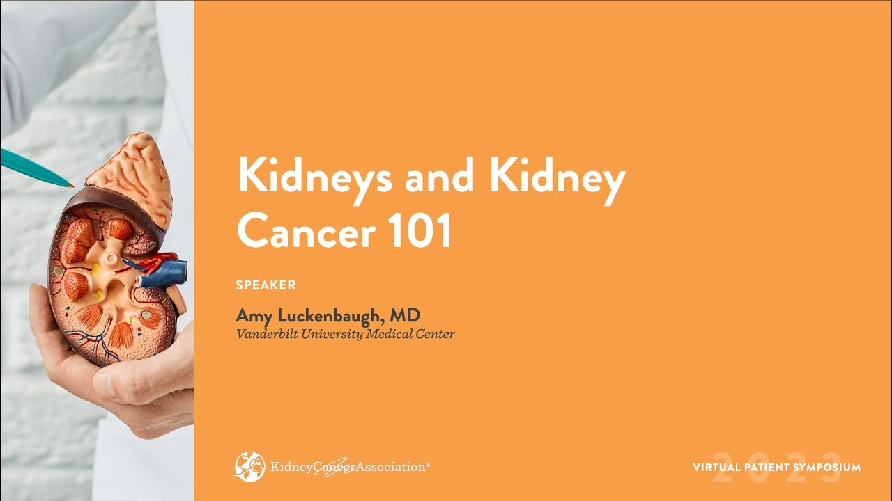 2023 KCA Virtual Patient Symposium Kidneys and Kidney Cancer 101 YouTube