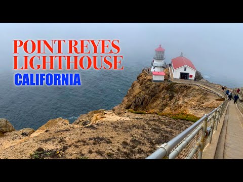 Video: Paano Makita ang Point Reyes Lighthouse ng California