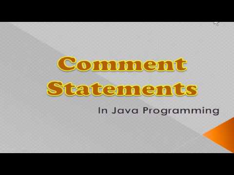 #20 Comment Statements in Java | ICSE Syllabus - YouTube