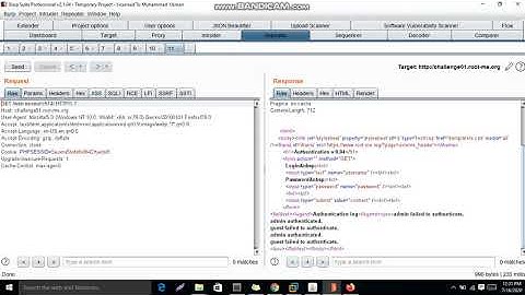 CRLF Injection (Web-Server)