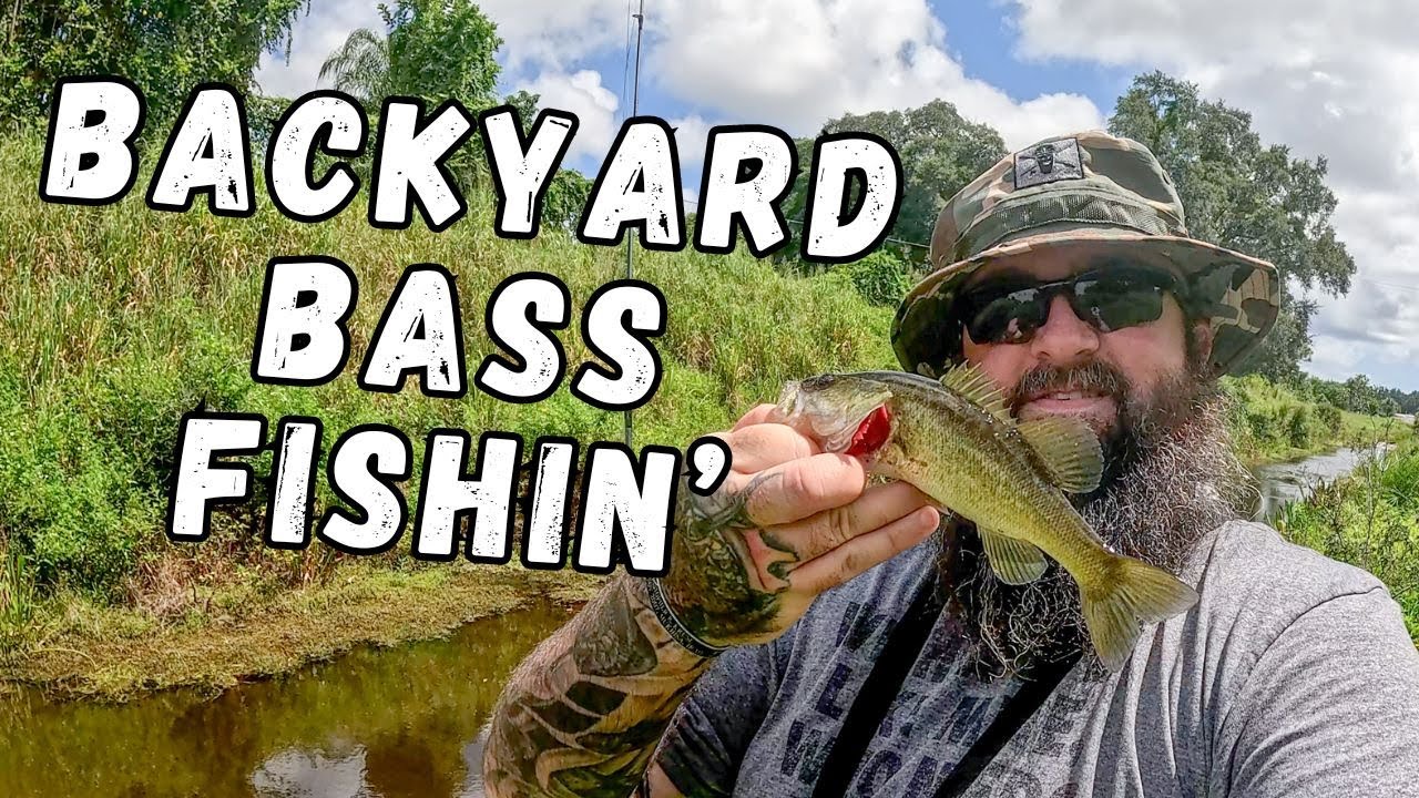 Backyard Bass Fishing in a TINY canal!