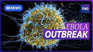 Famous Should we be worried about the latest Ebola outbreak? | 7.30 Profile