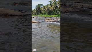 River The Elixir Of Life