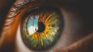 Eyes Free Stock Footage | No Copyright Iris Video | Royalty free Eyes shots | Eyes Iris shots @HikingFex