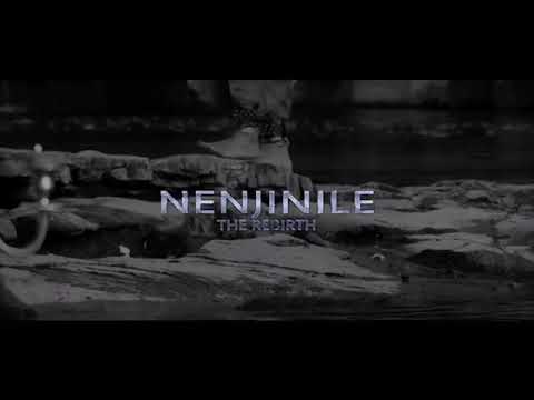 nenjinile-nenjinile-remix-song