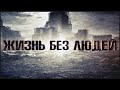 Земля: Жизнь Без Людей | Что Станет с Землей Если Все Люди Исчезнут?