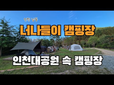 너나들이