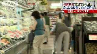 消費支出が大幅減少　“2人以上世帯”で10％超(15/05/01)