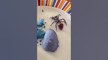 ASMR Mystery Dig It  Mining ⛏️