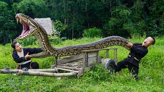 Dwarf Family Attacked by Giant Python in Garden - Crude Fish Trapping Method - Survival Skill Net Worth