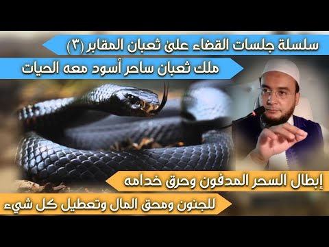 سلسلة القضاء على ثعبان المقابر ٣ ملك أسود وإبطال السحر المدفون لمحق المال وتعطيل كل شيء معه الحيات  سلسلة القضاء على ثعبان المقابر ٣ ملك أسود وإبطال السحر المدفون لمحق المال وتعطيل كل شيء معه الحيات