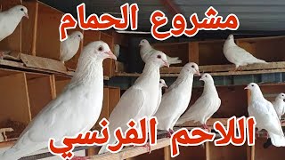 هعمل مشروع حمام لاحم فرنساوي | هاينفع ولا خلاص راحت عليه