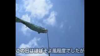 2mのこいのぼり泳がせてみた