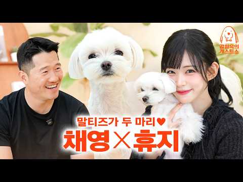 영상에 강아지 세 마리(?) 나옴. 주인이랑 똑닮은 프로미스나인 채영네 강아지 휴지 [강형욱의개스트쇼] EP.31