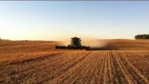 MACDON fd70 header combining lentils