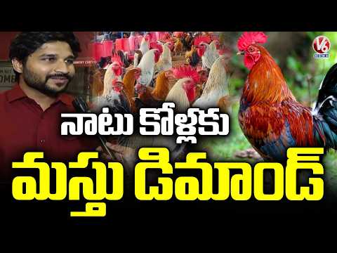 Huge Demand For Country Chicken | V6 News - V6NEWSTELUGU
