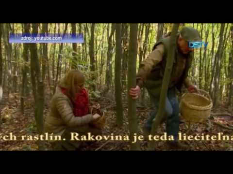 Video: Liečivá Sila Jesenných Bobúľ