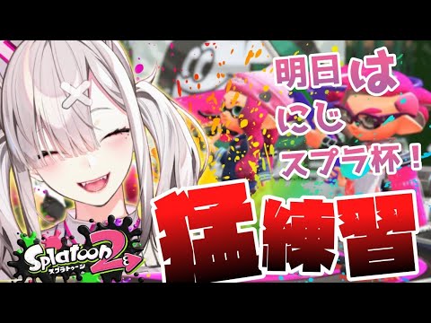 【スプラトゥーン2】ごちゃまぜメンバーで猛特訓！【健屋花那/にじさんじ】