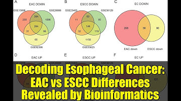 Decoding Esophageal Cancer: EAC vs ESCC Differences Revealed by Bioinformatics