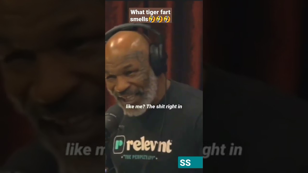 joe and mike tyson on tiger fart😯