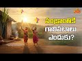 సంక్రాంతి పండుగనాడు గాలిపటాలు ఎగుర వేయడంలోని అంతరార్థం | Significance of Flying Kites on Sankranti