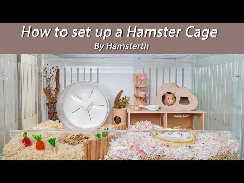 How to set up a Hamster Cage..แต่งกรงธีมมินิมอลสบายตา ออกแนวธรรมชาติกันเถอะ By Hamsterth