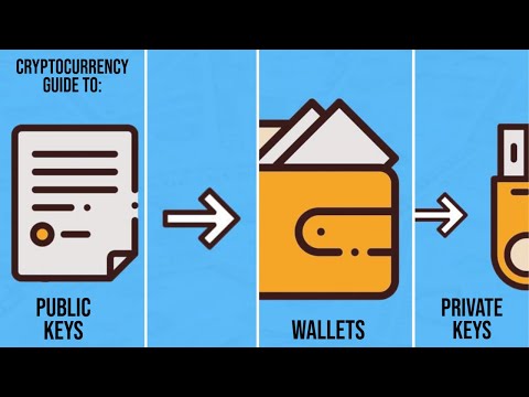 What Are Public Keys And Private Keys In Cryptocurrency